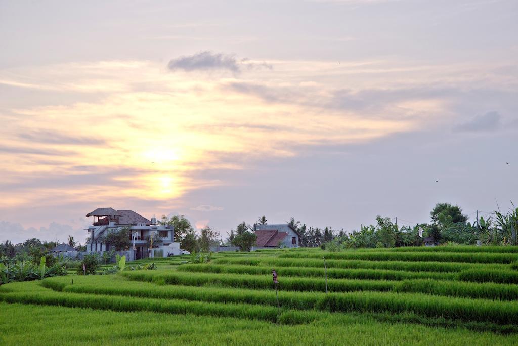 Paddy View Villa Kuta Lombok Esterno foto