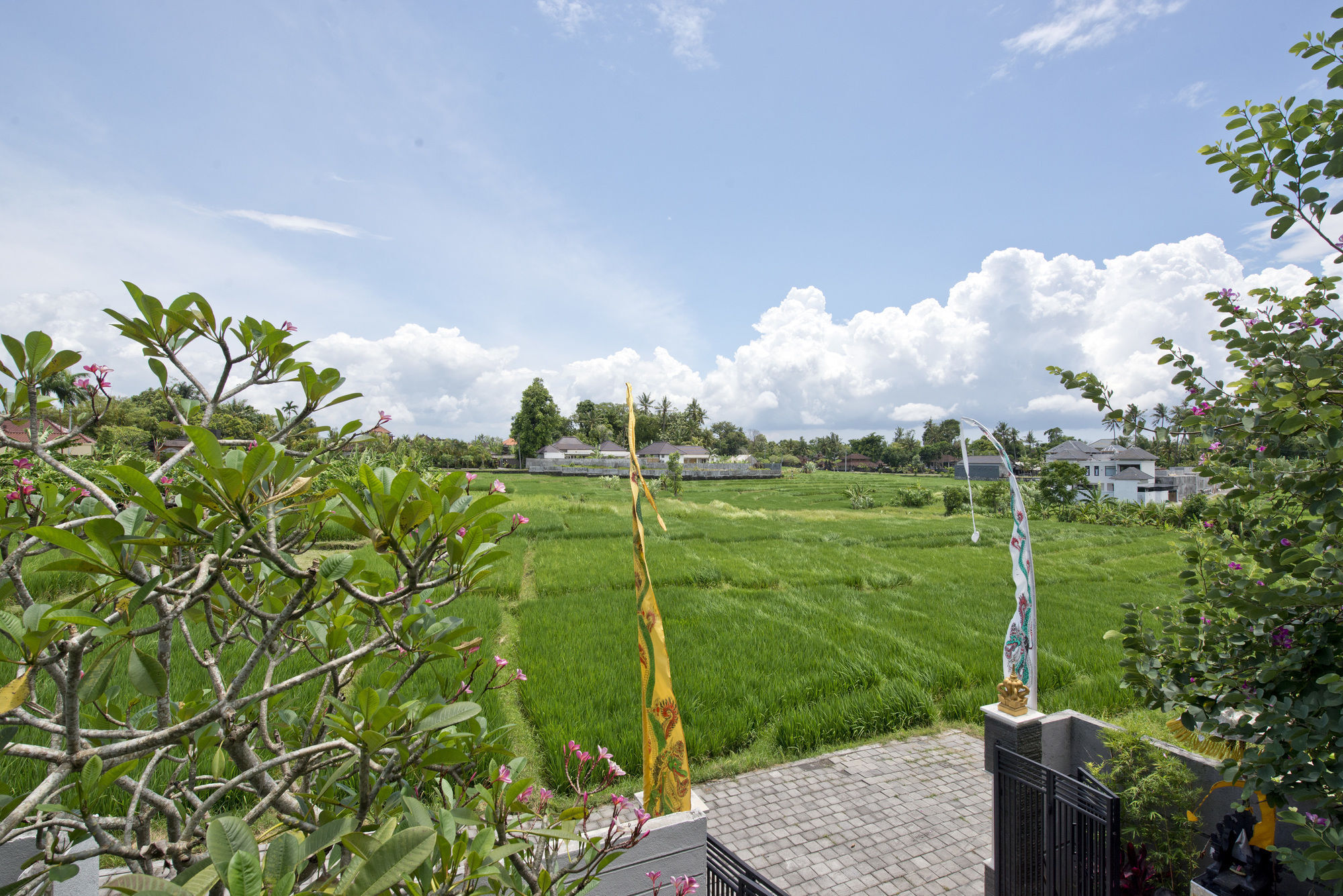 Paddy View Villa Kuta Lombok Esterno foto